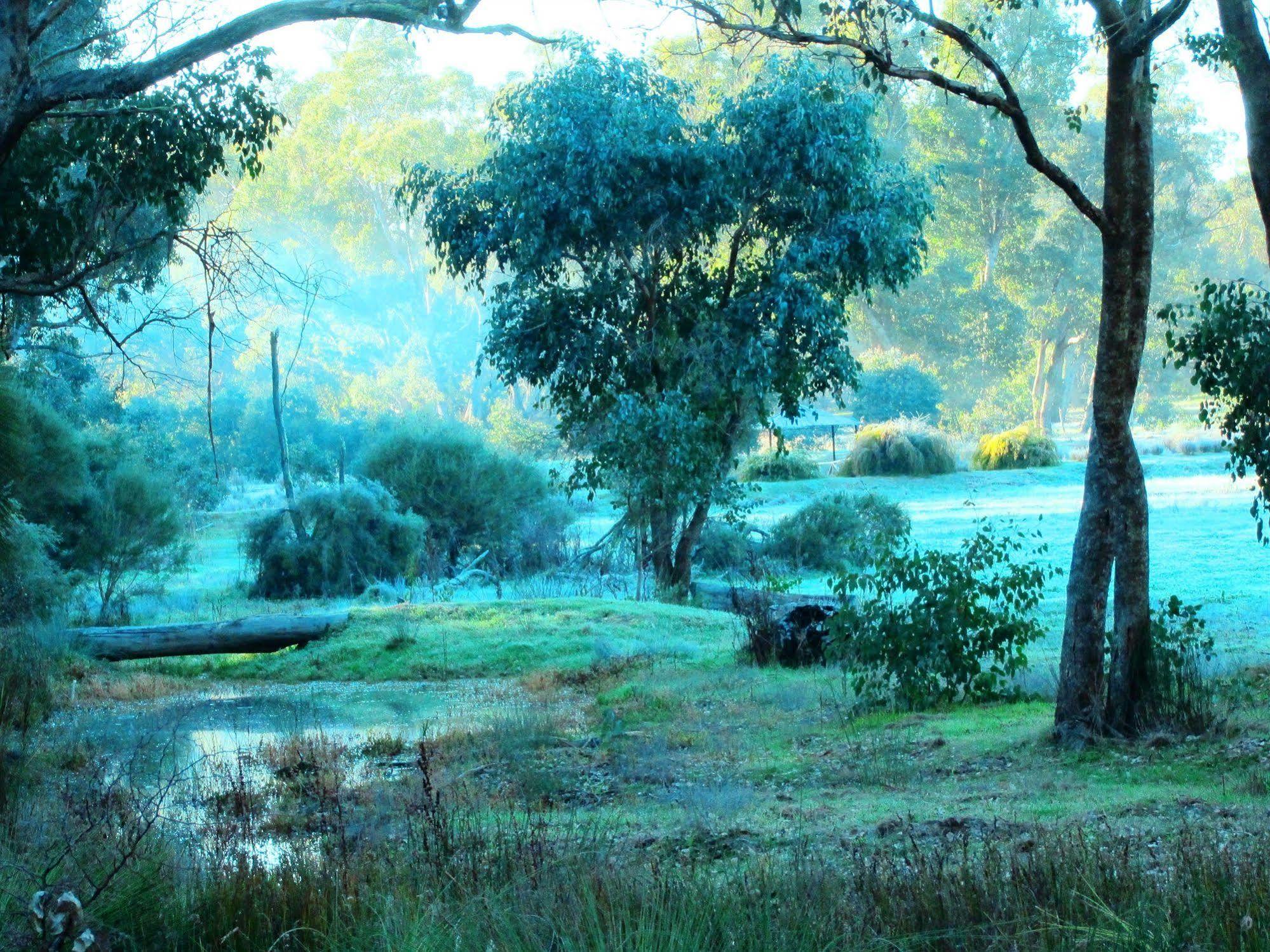Hidden Grove Retreat * Boyup Brook